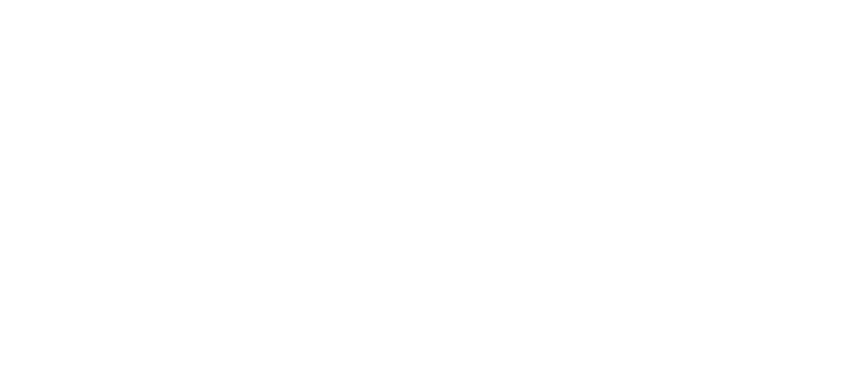 Pfeil zur nächsten Section des neoimpulse Logistik Assessments
